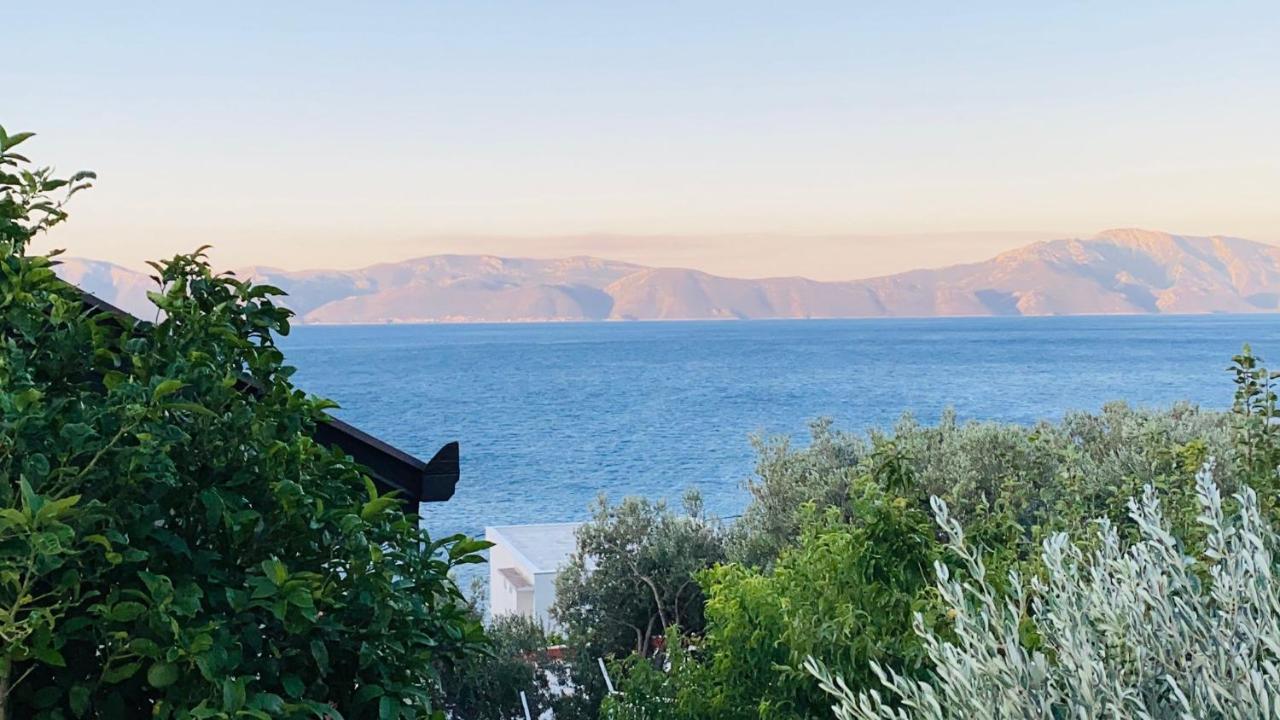Tole Villa بوداكا المظهر الخارجي الصورة